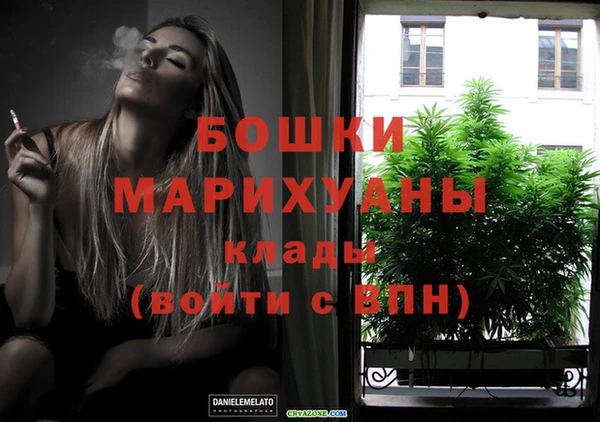 PSILOCYBIN Арсеньев