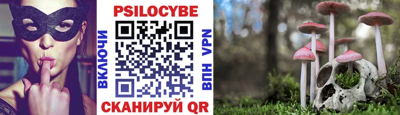 Купить где  Гусев  Галлюциногенные грибы ЛСД 