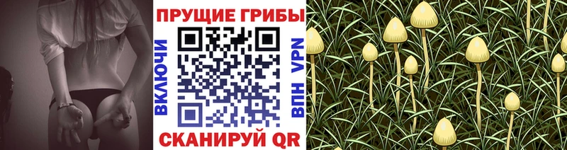Галлюциногенные грибы ЛСД Гусев